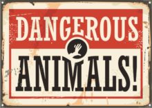 Dangerous Animals